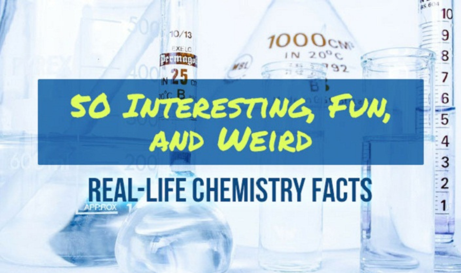 What Are Fast Facts About Daily Life