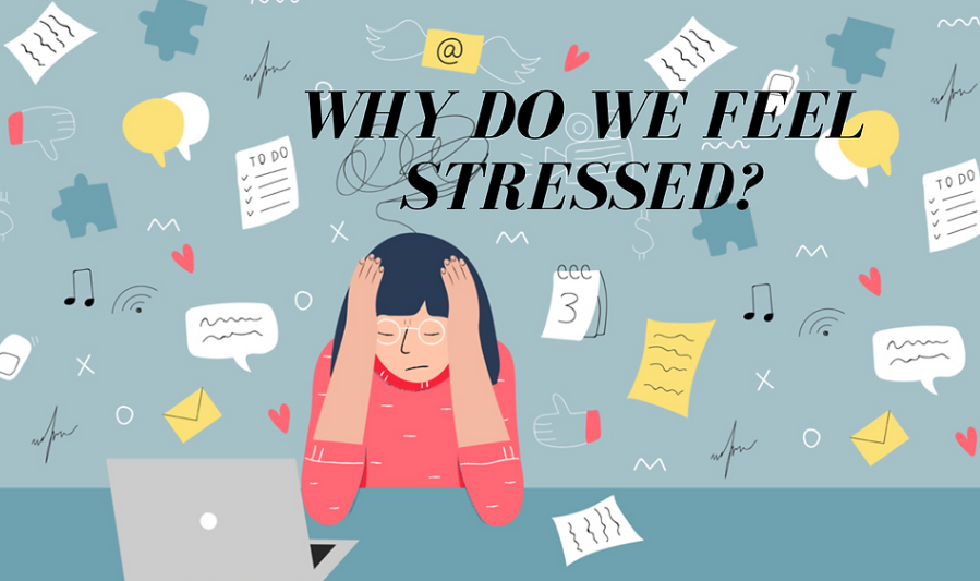 Why They Often Feel Stressful 