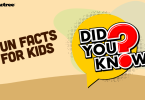 basic facts for beginners