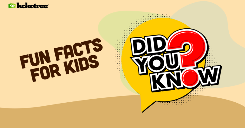 basic facts for beginners