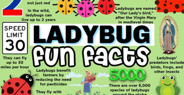 interesting quick facts list