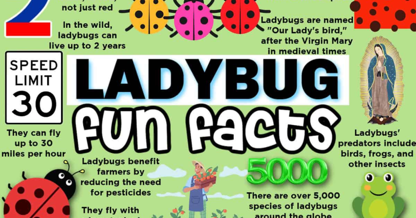 interesting quick facts list